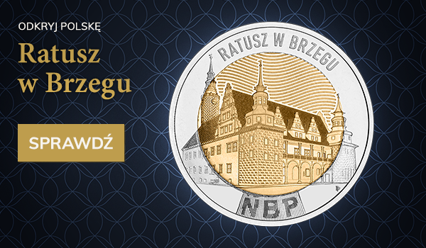 Ratusz w Brzegu