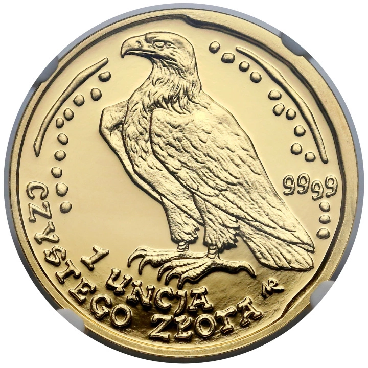 Narodowy Bank Polski: Orzeł Bielik 1 uncja Złota 2013 (okołomenniczy)