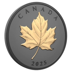 Kanadyjski Liść Klonowy “Gilded Elegant Maple” pozłacany 1 uncja Srebra 2025 Proof