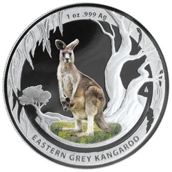 Zestaw 2 monet NBP/RAM: Kangur Walabia Benetta/Kangur Olbrzymi 2 uncje Srebra 2013 Proof