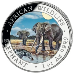 Zestaw 2 monet African Wildlife: Słoń Somalijski "Day & Night" kolorowany 2 x 1 uncja Srebra 2026