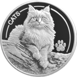 Fiji: Cats 1 uncja Srebra 2025 Prooflike