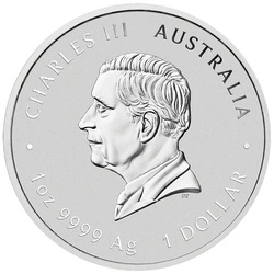 Perth Mint: Lunar III - Rok Konia pozłacany 1 uncja Srebra 2026 Proof (w etui)