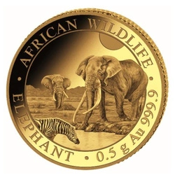 African Wildlife: Słoń Somalijski 0,5 g Złota 2026