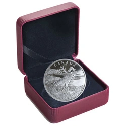 Kanada: Forget-Me-Not 1 uncja Srebra 2019 Proof