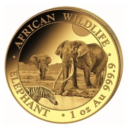 African Wildlife: Słoń Somalijski 1 uncja Złota 2026