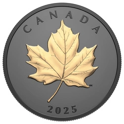 Kanadyjski Liść Klonowy “Gilded Elegant Maple” pozłacany 1 uncja Srebra 2025 Proof